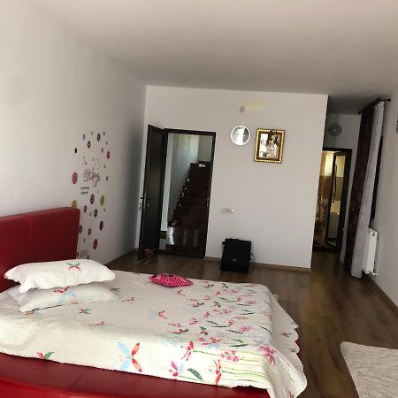 Appartamento Adelina Schitu Esterno foto